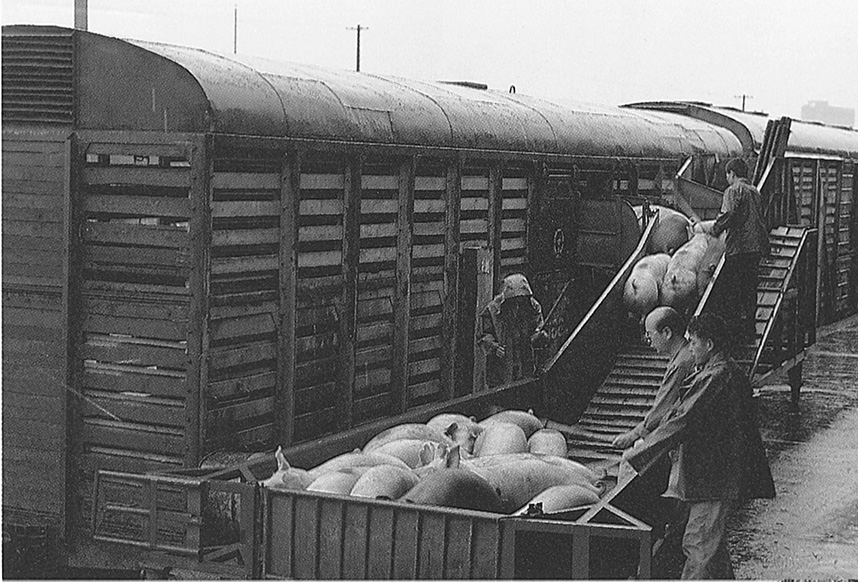 中国·永利yl23455(股份)有限公司-官方网站