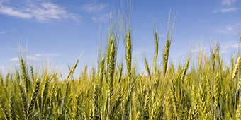 中国·永利yl23455(股份)有限公司-官方网站