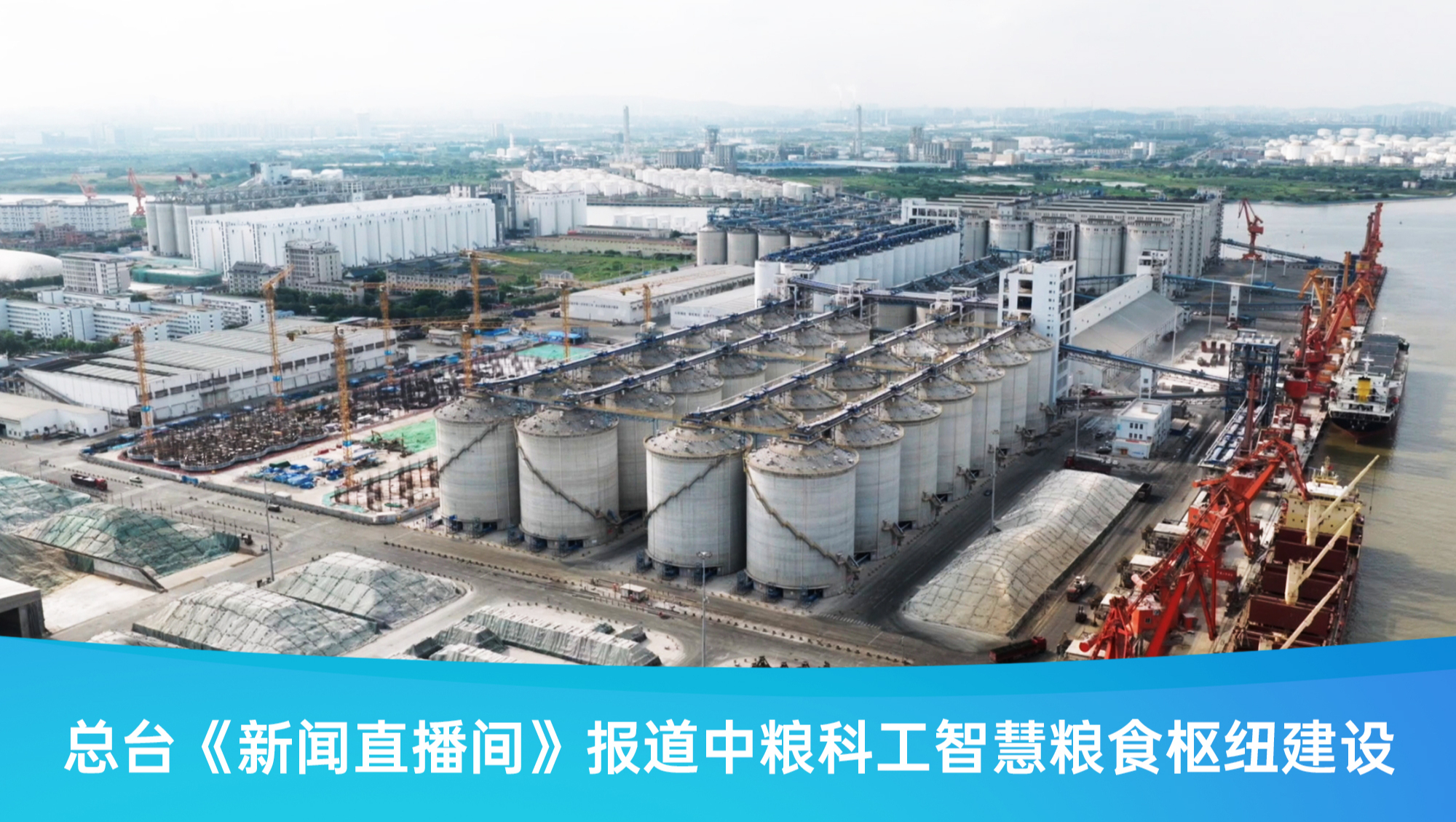 17515054356791786_2000x1129